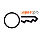 Лецензии Gigaset Pro - Продажа и настройка Avaya
