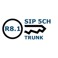 Avaya IPO LIC SIP TRNK RFA 5 202968 - Продажа и настройка Avaya, Gigaset, Snom, Yealink.