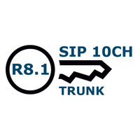 Avaya IPO LIC SIP TRNK RFA 10 202969 - Продажа и настройка Avaya, Gigaset, Snom, Yealink.