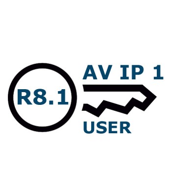 Avaya IPO LIC R6 AV IP ENDPOINT 1 229444 - Продажа и настройка Avaya