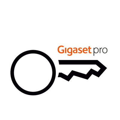 Лицензия DECT Gigaset (Гигасет) Integrator для N870/N670 IP PRO S30852-H2716-X1 - Продажа и настройка Avaya