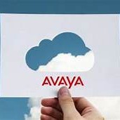 Решение Avaya Cloud Office UCaaS появилось на пяти новых рынках - Продажа и настройка Avaya