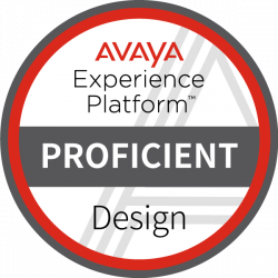Контактный центр Avaya:  Новые возможности платформы Avaya Experience - Продажа и настройка Avaya