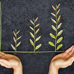 Avaya обязуется добиваться прогресса в области охраны окружающей среды, социальной сферы и управления - Продажа и настройка Avaya, Gigaset, Snom, Yealink.