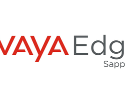 Благодаря экосистеме партнеров Avaya Edge, компания Avaya получила 5 звезд CRN - Продажа и настройка Avaya